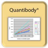 Human Ig Isotyping Array Q1