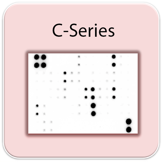 C-Series, AAH-NEU-2,人類神經相關蛋白晶片Human Neuro Discovery Array C2,RayBiotech,array,neuro,晶片,神經疾病