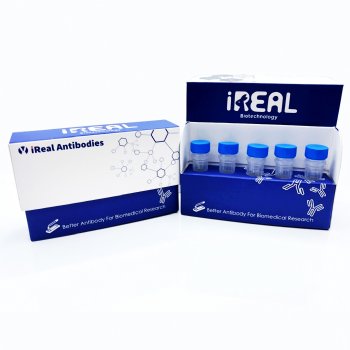 IRAP5001 EMT Marker  Antibody Panel