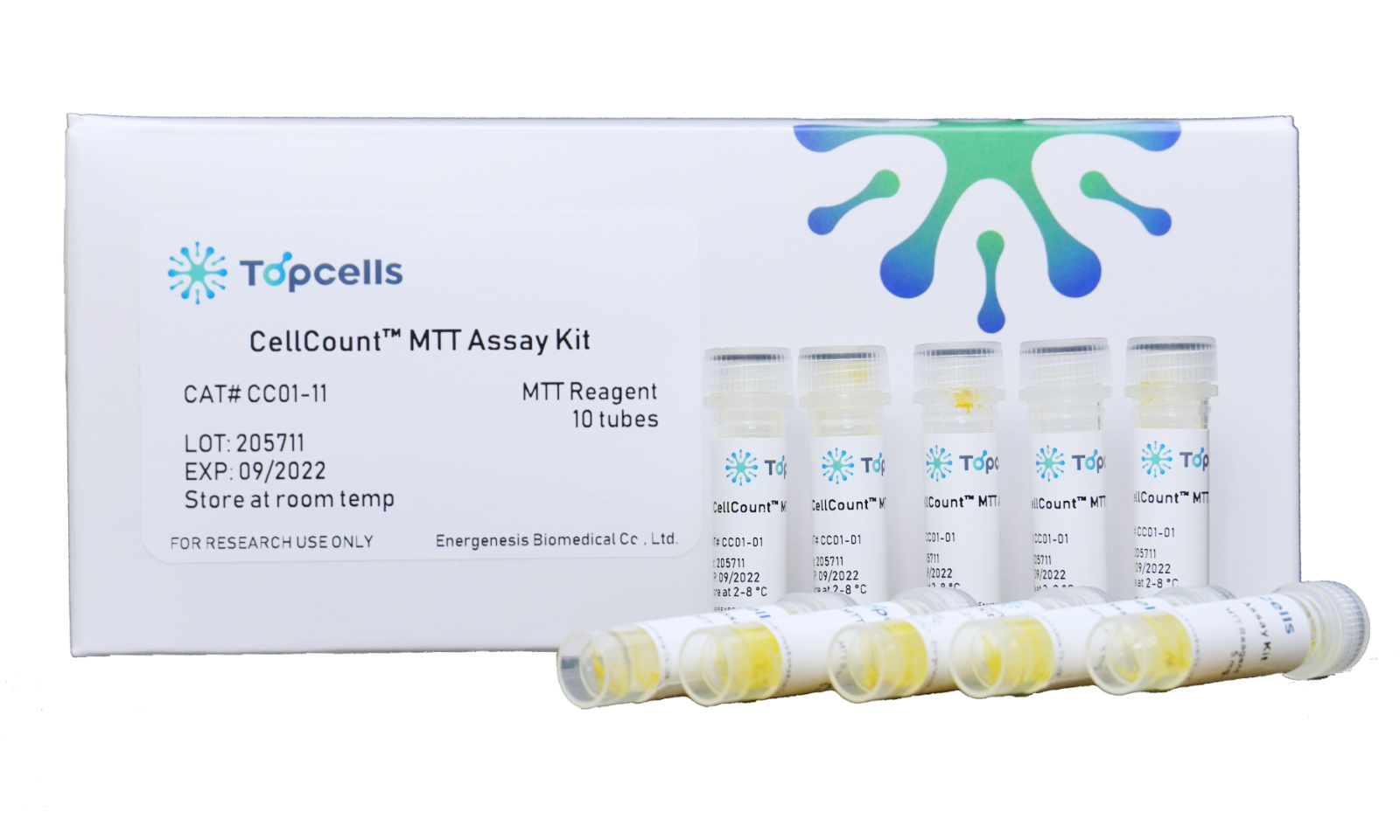 CellCount　MTT Assay Kit