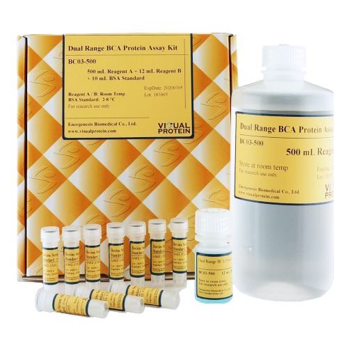 BCA Protein Assay Kit